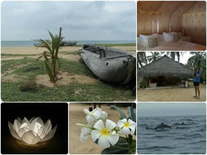 Dolphin Beach Camp Sri Lanka