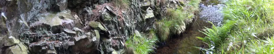 Kleine Wasserwanderung im Harz