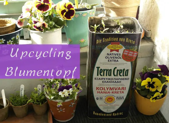 Upcycling Blumentopf aus einem Olivenölkanister