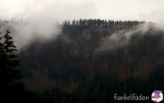 Böhmischer Wald in Wolken