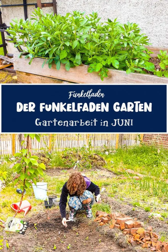 Gartenarbeit im Juni Funkelfaden Garten
