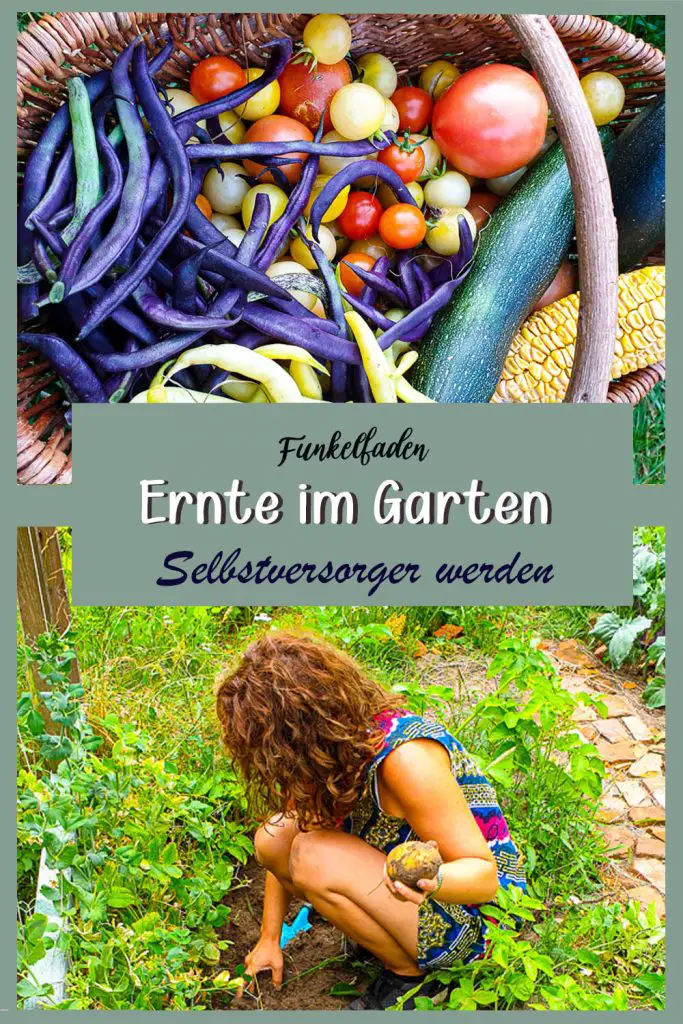 Kartoffeln im Garten anbauen - Selbstversorger Garten anlegen ganz einfach